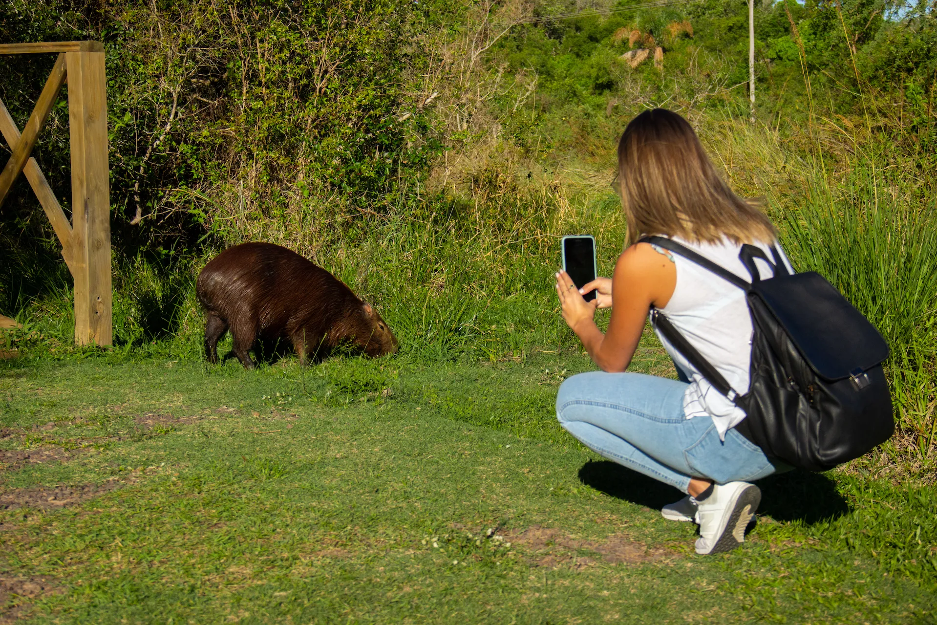 Caminatas en el Iberá